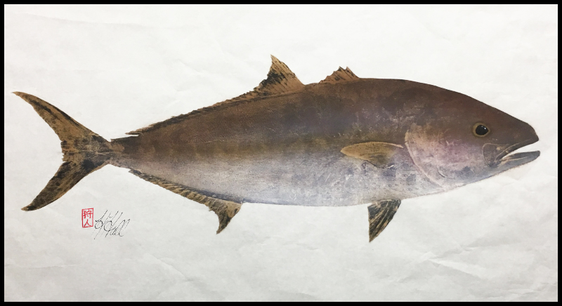 Amber Jack Fish Painting
