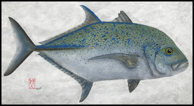 Bluefin Trevally
