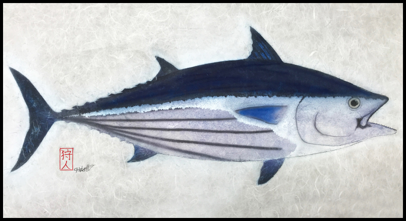 Skipjack Tuna