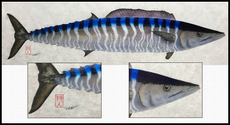 Hawaiian Fishpainings fish print, Wahoo ONo