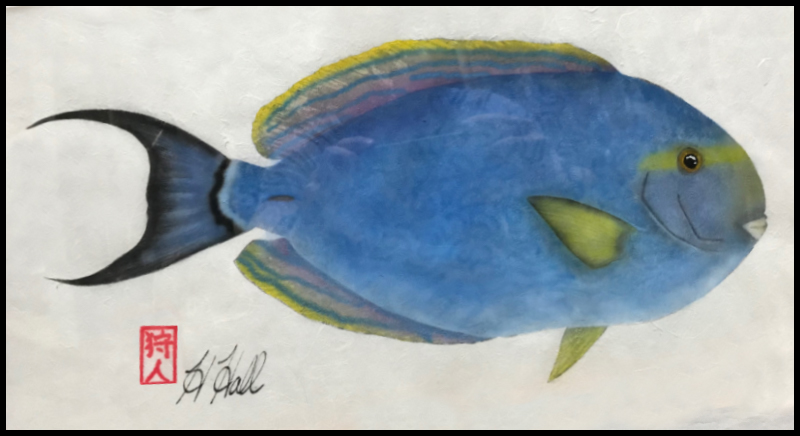 Yellowfin Surgeoun Fish Print