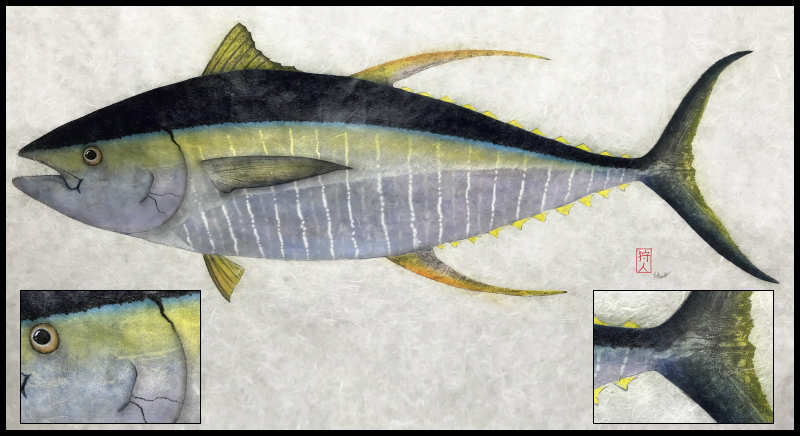 Hawaiian Fishpainings fish print, Yellowfin Tuna